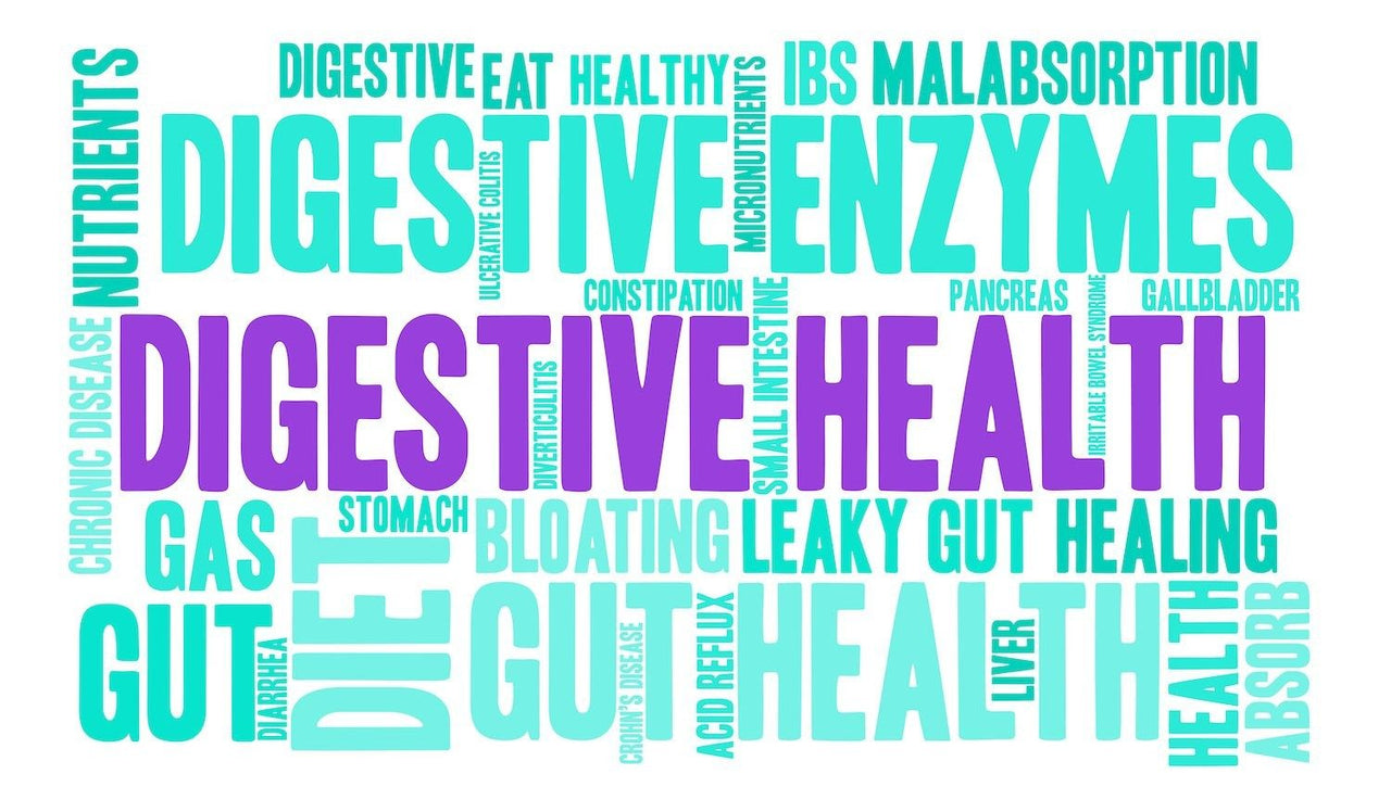 BioZyme The Best Digestive Enzymes Supplement in Australia Nutrition Diagnostics