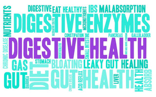 Bio-Zyme: The Best Digestive Enzymes Supplement in Australia