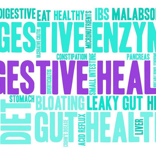 Bio-Zyme: The Best Digestive Enzymes Supplement in Australia