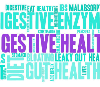 Bio-Zyme: The Best Digestive Enzymes Supplement in Australia