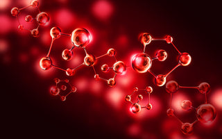 Blood Chemistry: The Roadmap to Your Health