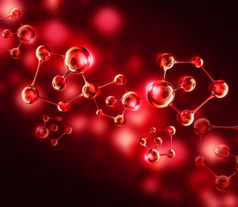 Blood Chemistry: The Roadmap to Your Health