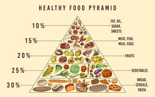 The Food Pyramid is Killing You